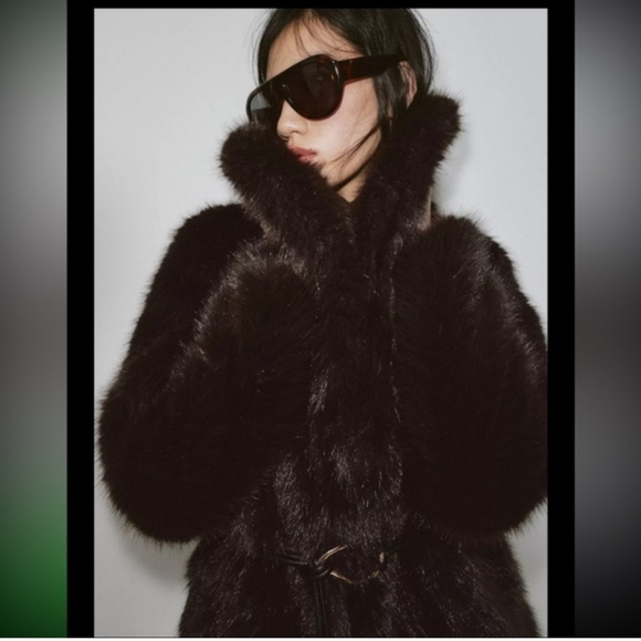 NWT Zara Faux Fur Coat With Belt in Brown - Picture 5 of 5
